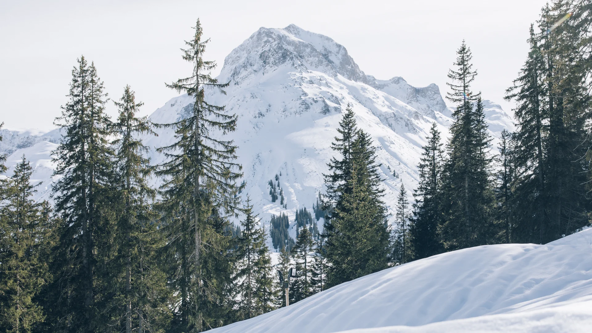 Picture gallery | Hotel Panorama in Lech am Arlberg Snow-covered mountain peak framed by dark fir trees, with a snowy slope in the foreground