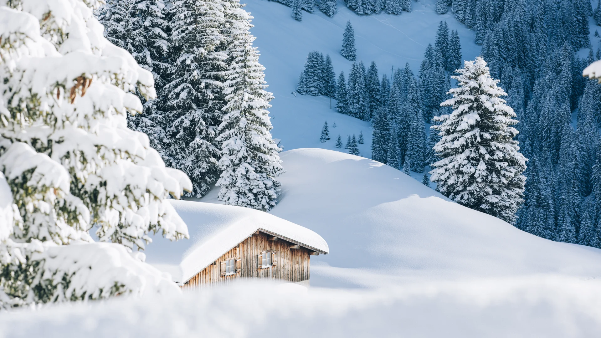 Picture gallery | Hotel Panorama in Lech am Arlberg Snow-covered mountain cabin among snow-laden fir trees